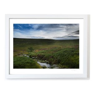 wicklow-mountains-heather-moorland-stream WF