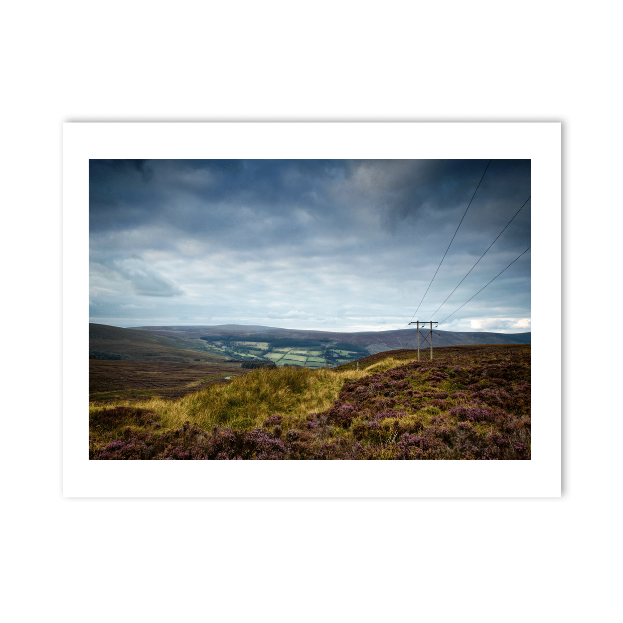 wicklow-mountains-heather-moorland-valley-view PM