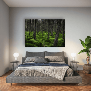 wicklow-woodland-mossy-forest-floor Pano