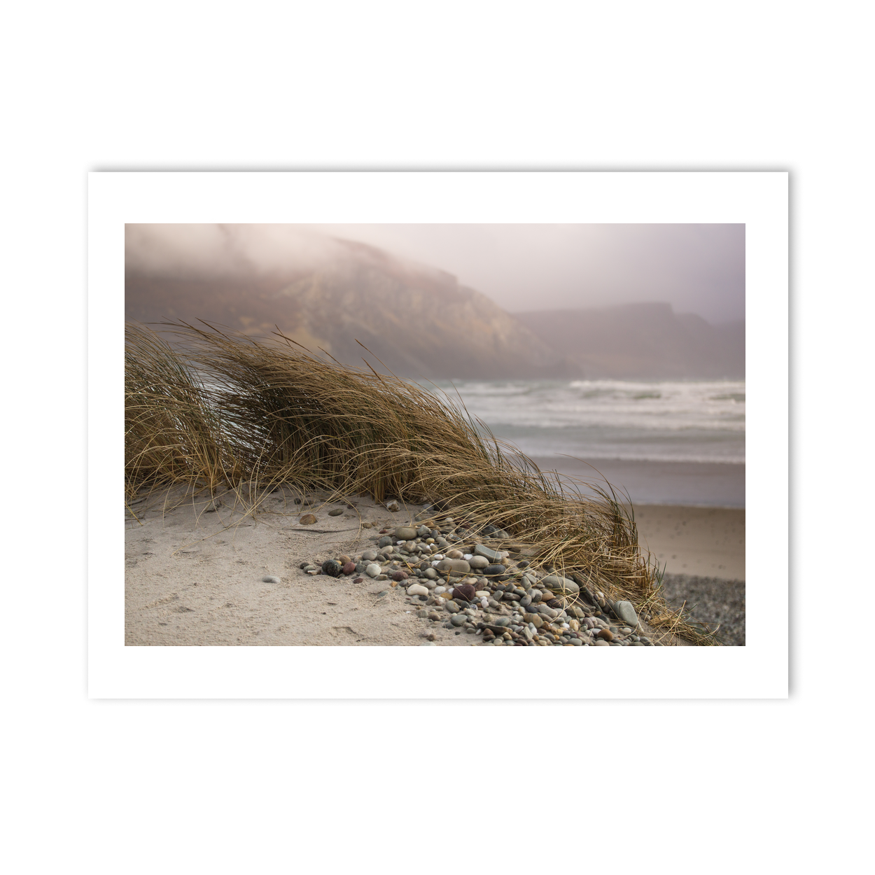 wild-atlantic-dune-grass-misty-cliffs PM