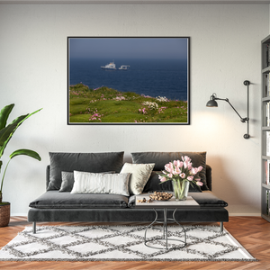 wild-atlantic-way-clifftop-wildflowers-ship BFW