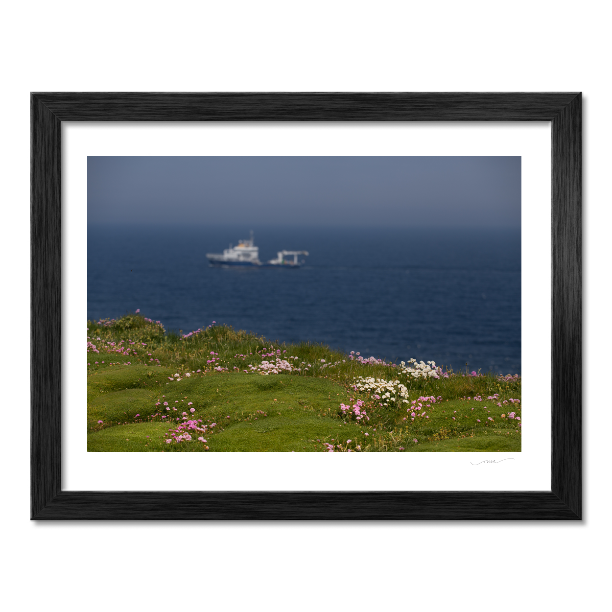 wild-atlantic-way-clifftop-wildflowers-ship PM