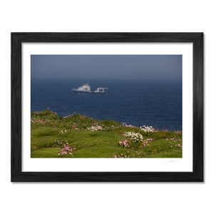 wild-atlantic-way-clifftop-wildflowers-ship BF