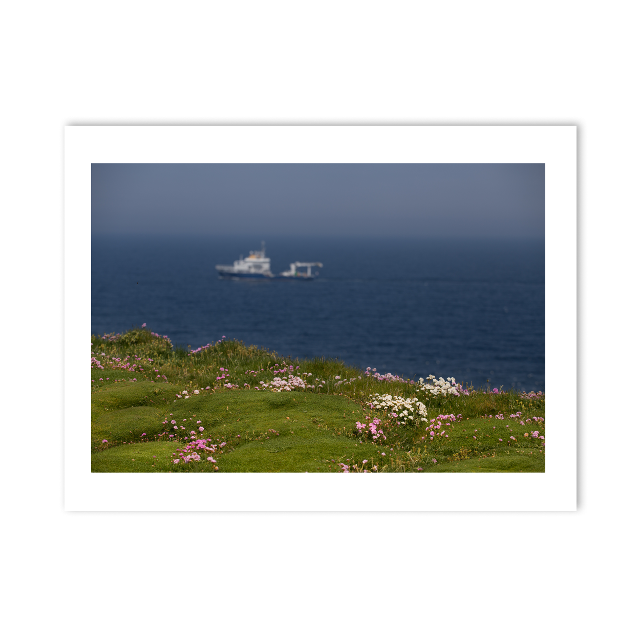 wild-atlantic-way-clifftop-wildflowers-ship PM
