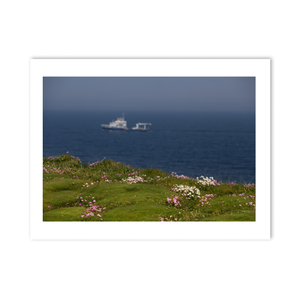 wild-atlantic-way-clifftop-wildflowers-ship PM