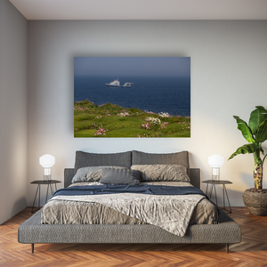 wild-atlantic-way-clifftop-wildflowers-ship Pano