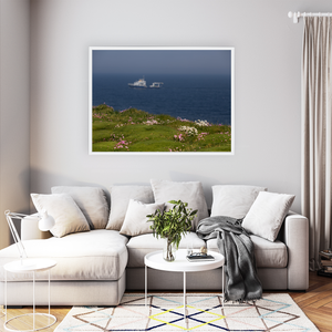 wild-atlantic-way-clifftop-wildflowers-ship WFW