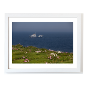 wild-atlantic-way-clifftop-wildflowers-ship WF