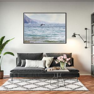 wild-atlantic-way-dolphin-leap-mayo-coast BFW