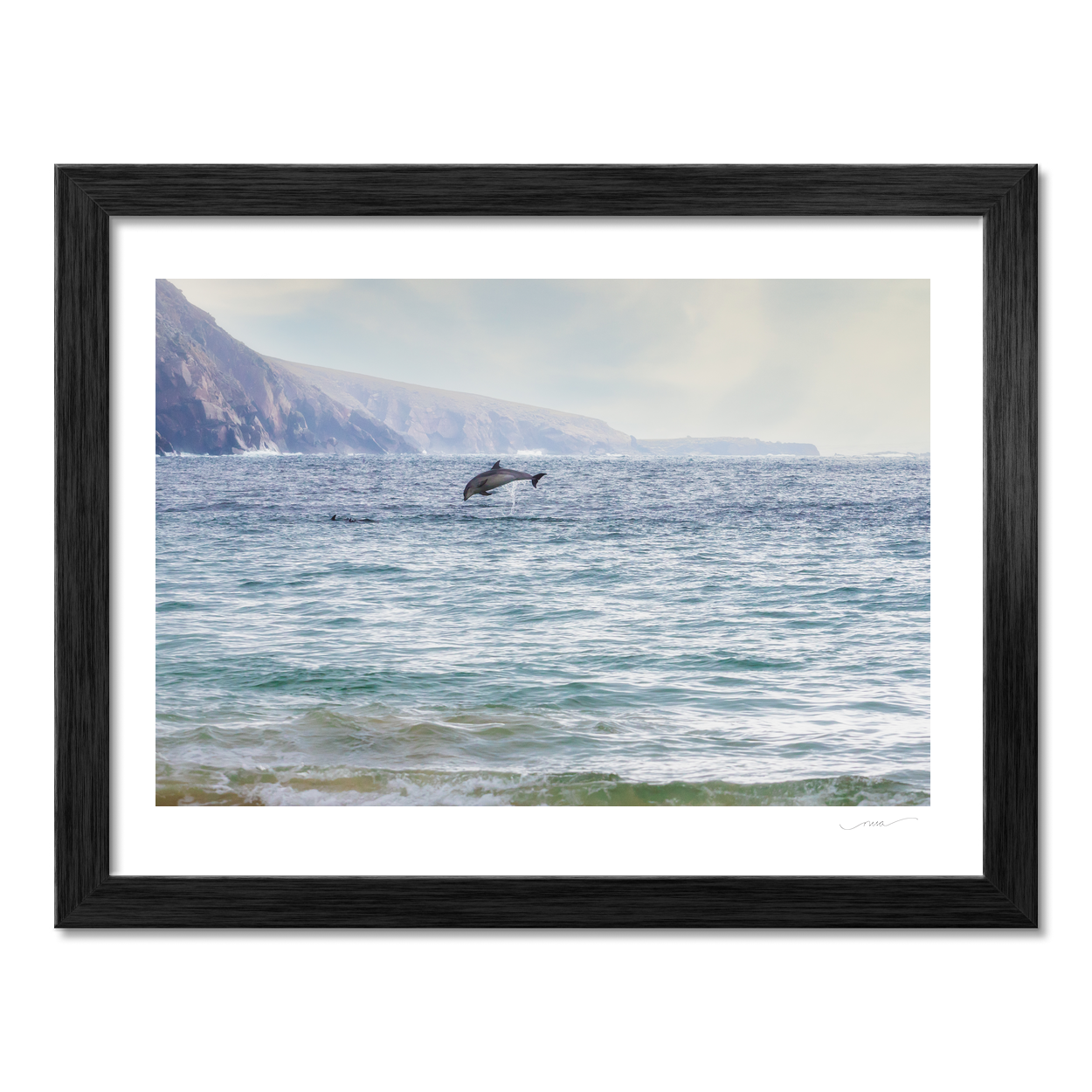 wild-atlantic-way-dolphin-leap-mayo-coast PM