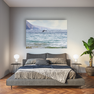 wild-atlantic-way-dolphin-leap-mayo-coast Pano
