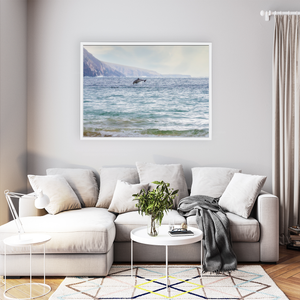 wild-atlantic-way-dolphin-leap-mayo-coast WFW