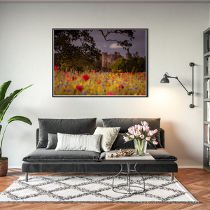 Nua Photography Print Wild Flowers at Malahide Castle, Co. Dublin Wild Flowers Malahide Castle Print | Nua Photography