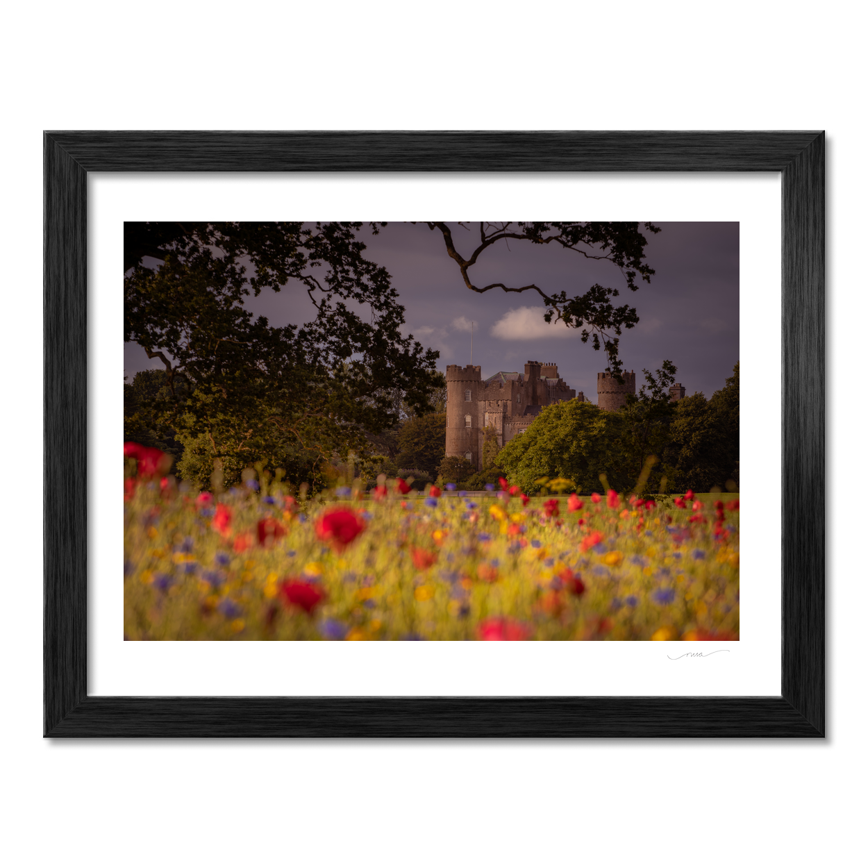 Nua Photography Print Wild Flowers at Malahide Castle, Co. Dublin Wild Flowers Malahide Castle Print | Nua Photography