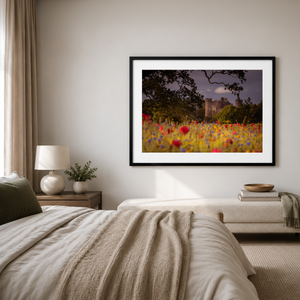 Nua Photography Print Wild Flowers at Malahide Castle, Co. Dublin Wild Flowers Malahide Castle Print | Nua Photography