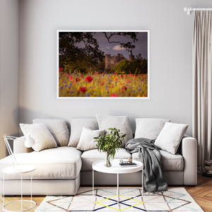 Nua Photography Print Wild Flowers at Malahide Castle, Co. Dublin Wild Flowers Malahide Castle Print | Nua Photography