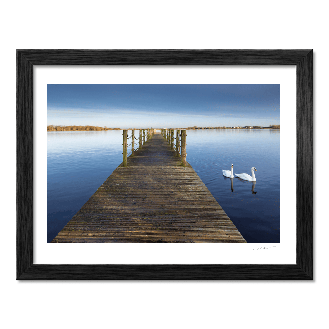 wooden-jetty-swans-calm-lake-winter PM