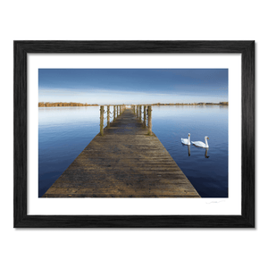 wooden-jetty-swans-calm-lake-winter BF