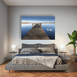 wooden-jetty-swans-calm-lake-winter Pano