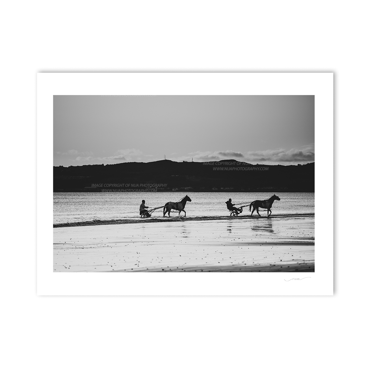 Nua Photography Print A dip in the sea Sulkie harness racers Portmarnock