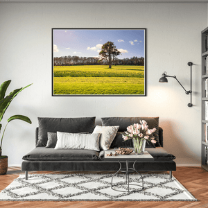 Nua Photography Print Ardgillan tree