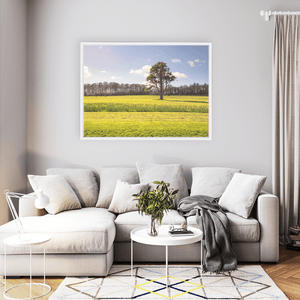 Nua Photography Print Ardgillan tree