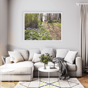 Nua Photography Print Ardgillan woods in spring