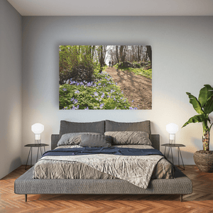 Nua Photography Print Ardgillan woods in spring