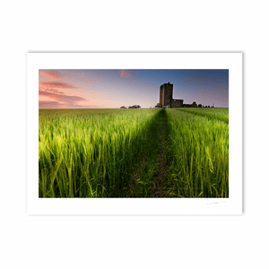 Nua Photography Print Baldungan Church Loughshinny 3