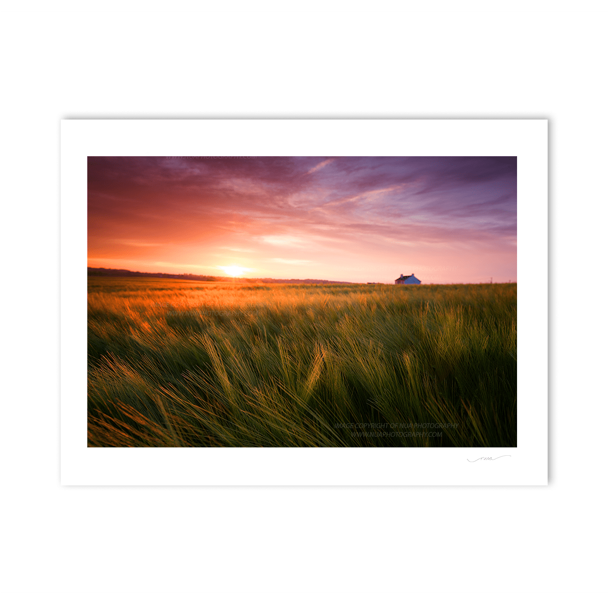 Nua Photography Print Baldungan Co Dublin at Sunset2