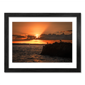 Nua Photography Print Boat & Seagull Sunset in Skerries