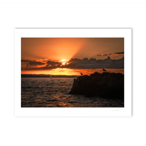 Nua Photography Print Boat & Seagull Sunset in Skerries