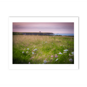 Nua Photography Print Breezy evening on the Cliffs to Drumanagh
