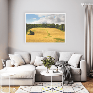 Nua Photography Print Fields at Ardgillan Castle