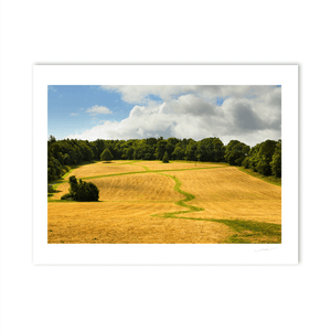 Nua Photography Print Fields at Ardgillan Castle