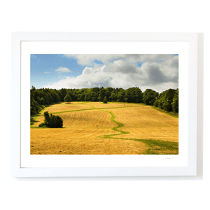 Nua Photography Print Fields at Ardgillan Castle