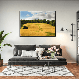 Nua Photography Print Fields at Ardgillan Castle