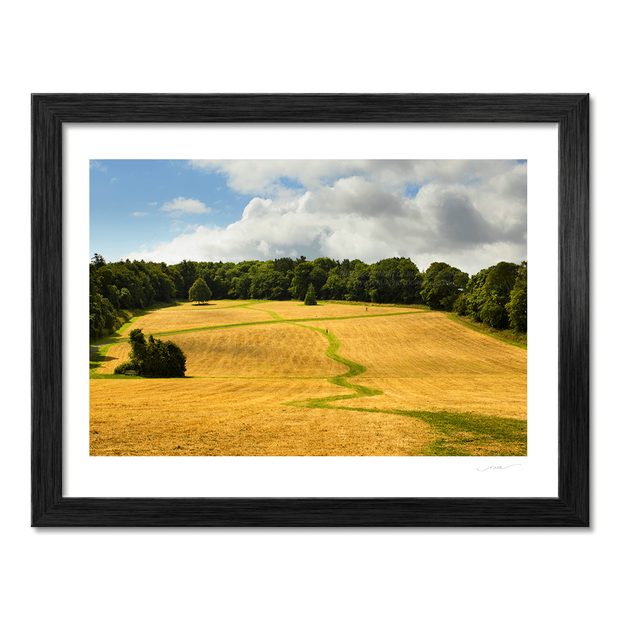 Nua Photography Print Fields at Ardgillan Castle