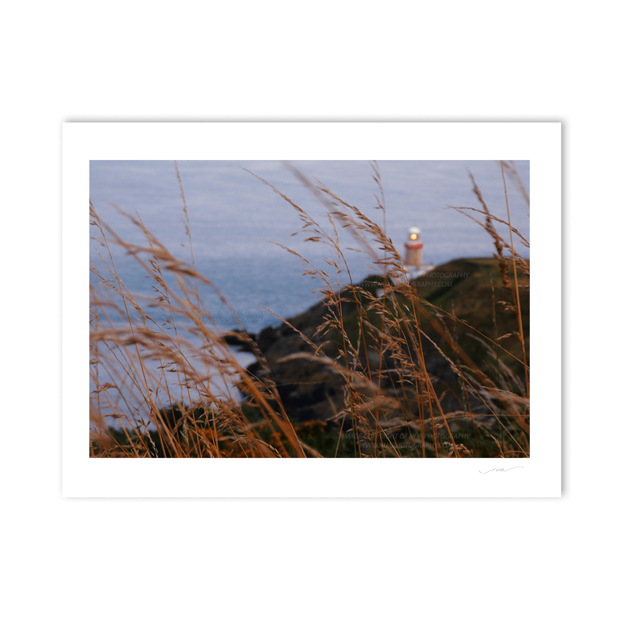 Nua Photography Print Grasses blowing at The Bailey Light House Howth Dublin