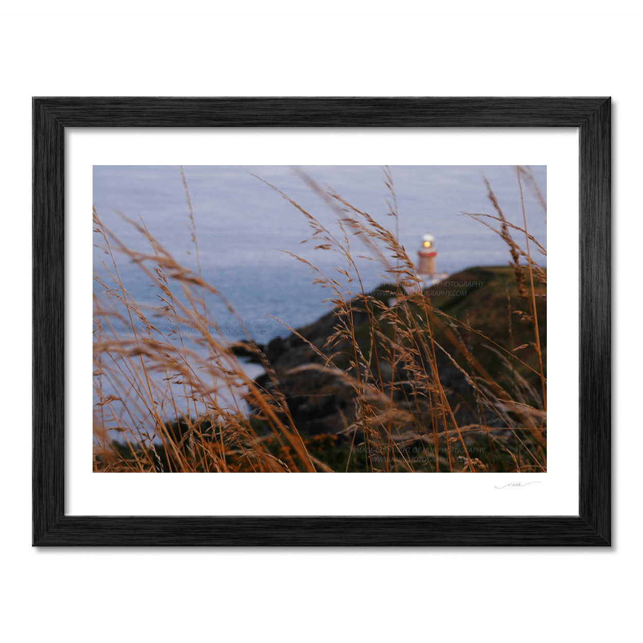 Nua Photography Print Grasses blowing at The Bailey Light House Howth Dublin
