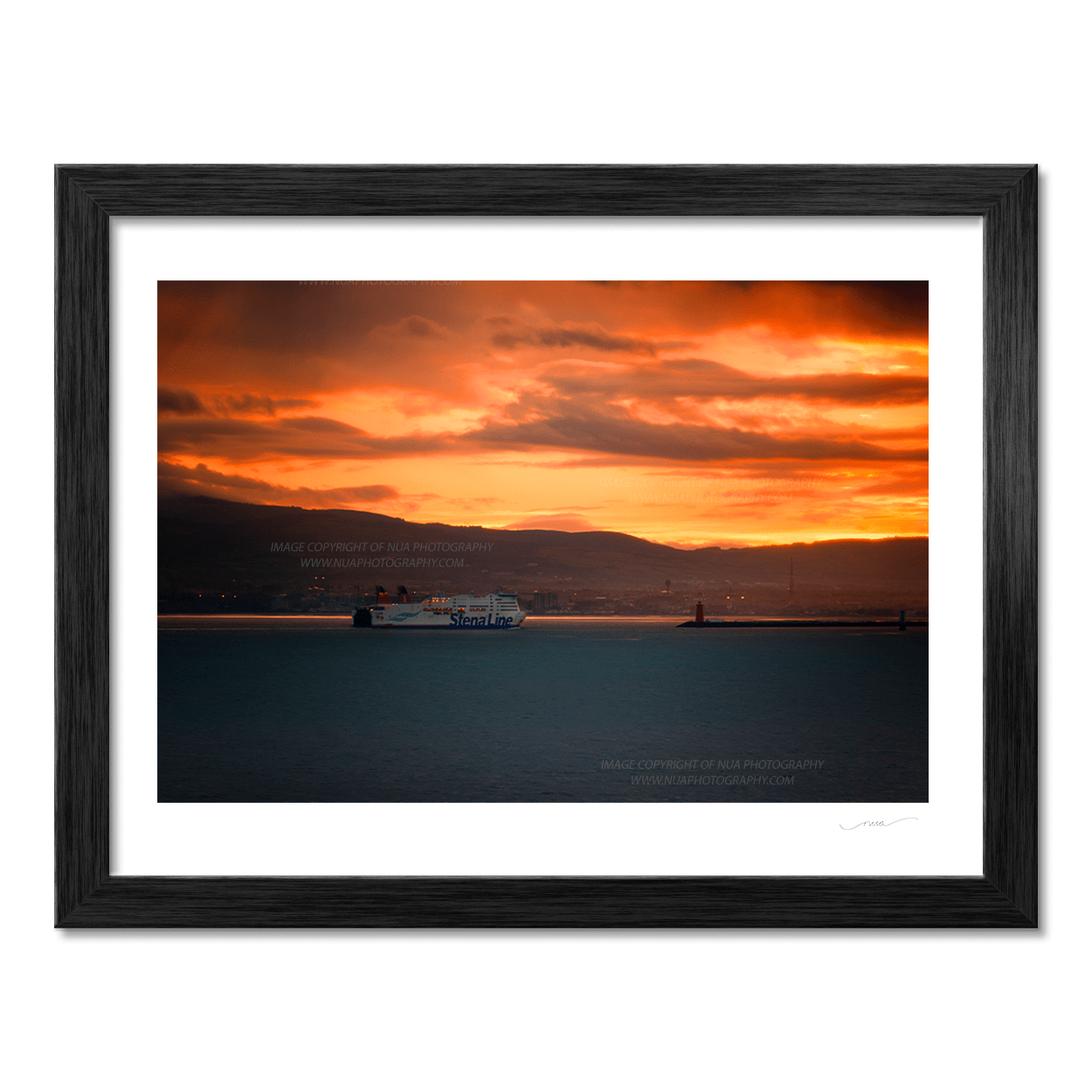 Nua Photography Print Homeward Bound