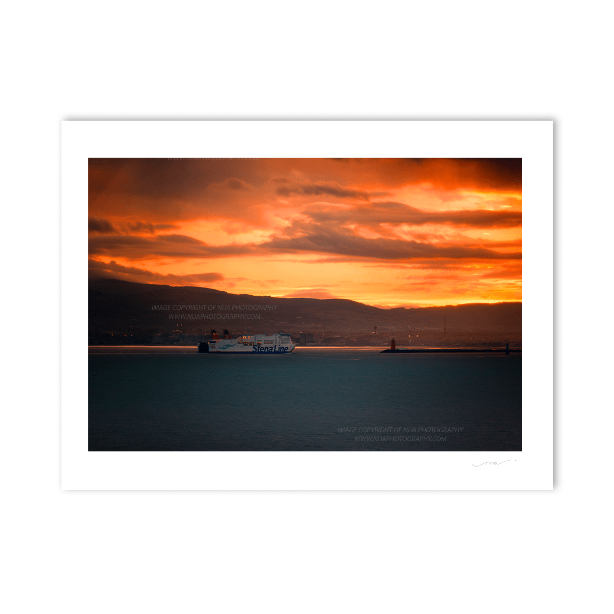 Nua Photography Print Homeward Bound