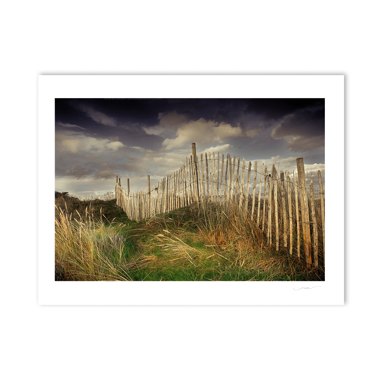 Nua Photography Print Old style Fence Dunes Donabate