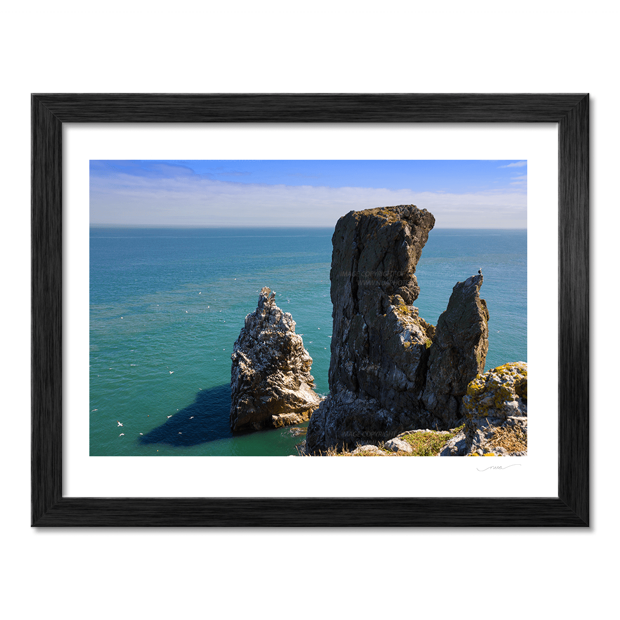 Nua Photography Print Sea Stack Irelands Eye