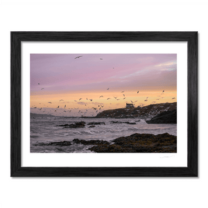 Nua Photography Print Seagulls Portmarnock Martello Tower