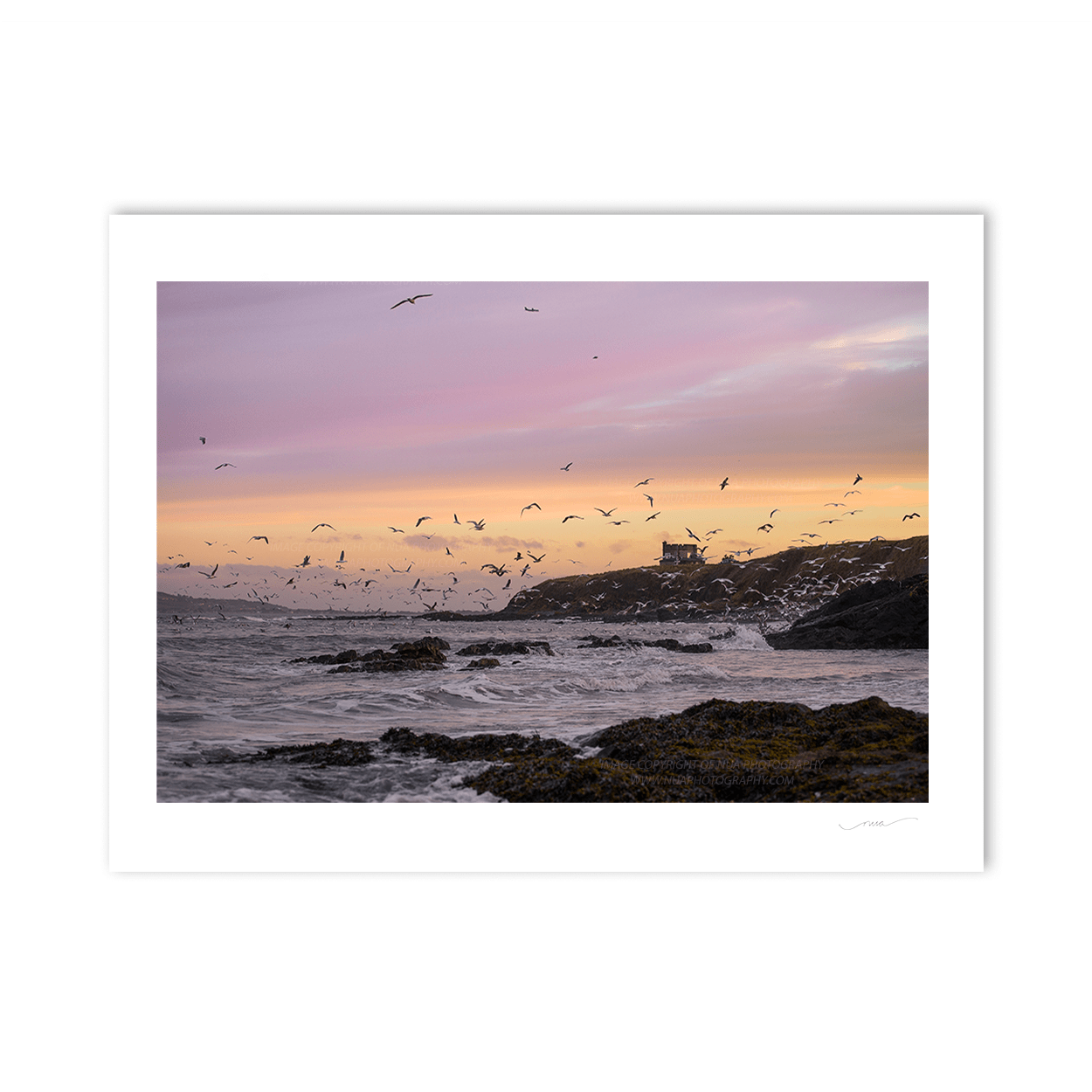 Nua Photography Print Seagulls Portmarnock Martello Tower