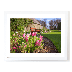 Nua Photography Print Spring Planting Ardgillan perenial wall garden