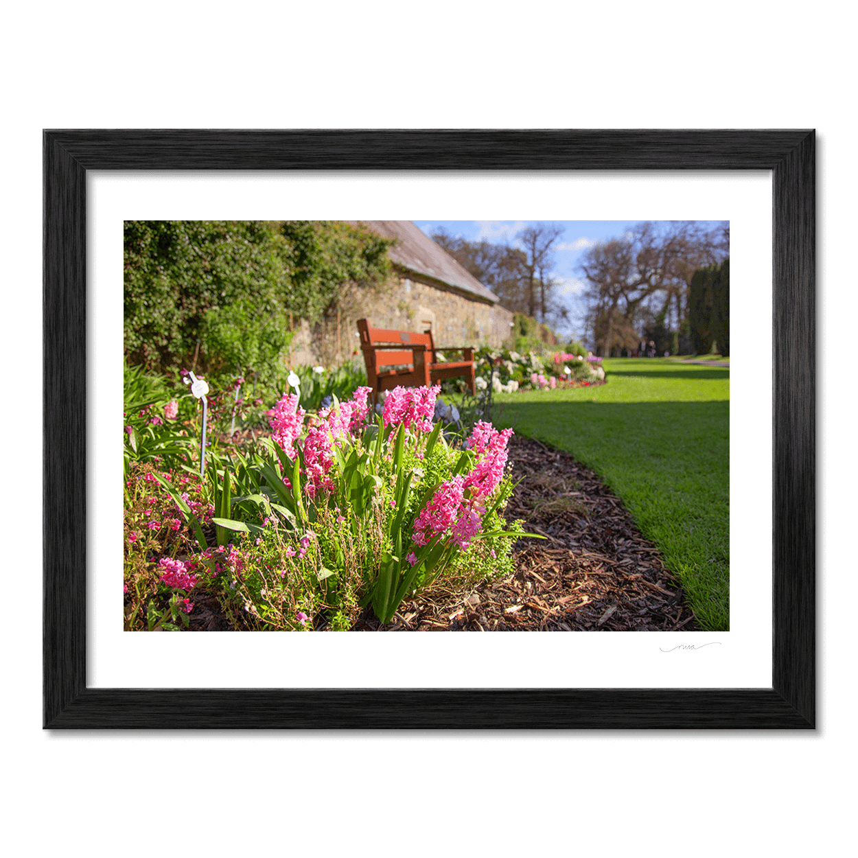 Nua Photography Print Spring Planting Ardgillan perenial wall garden