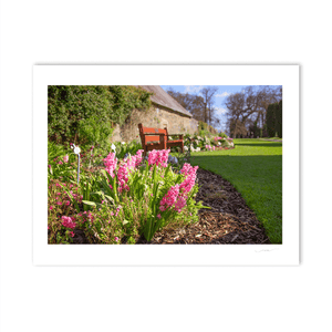 Nua Photography Print Spring Planting Ardgillan perenial wall garden