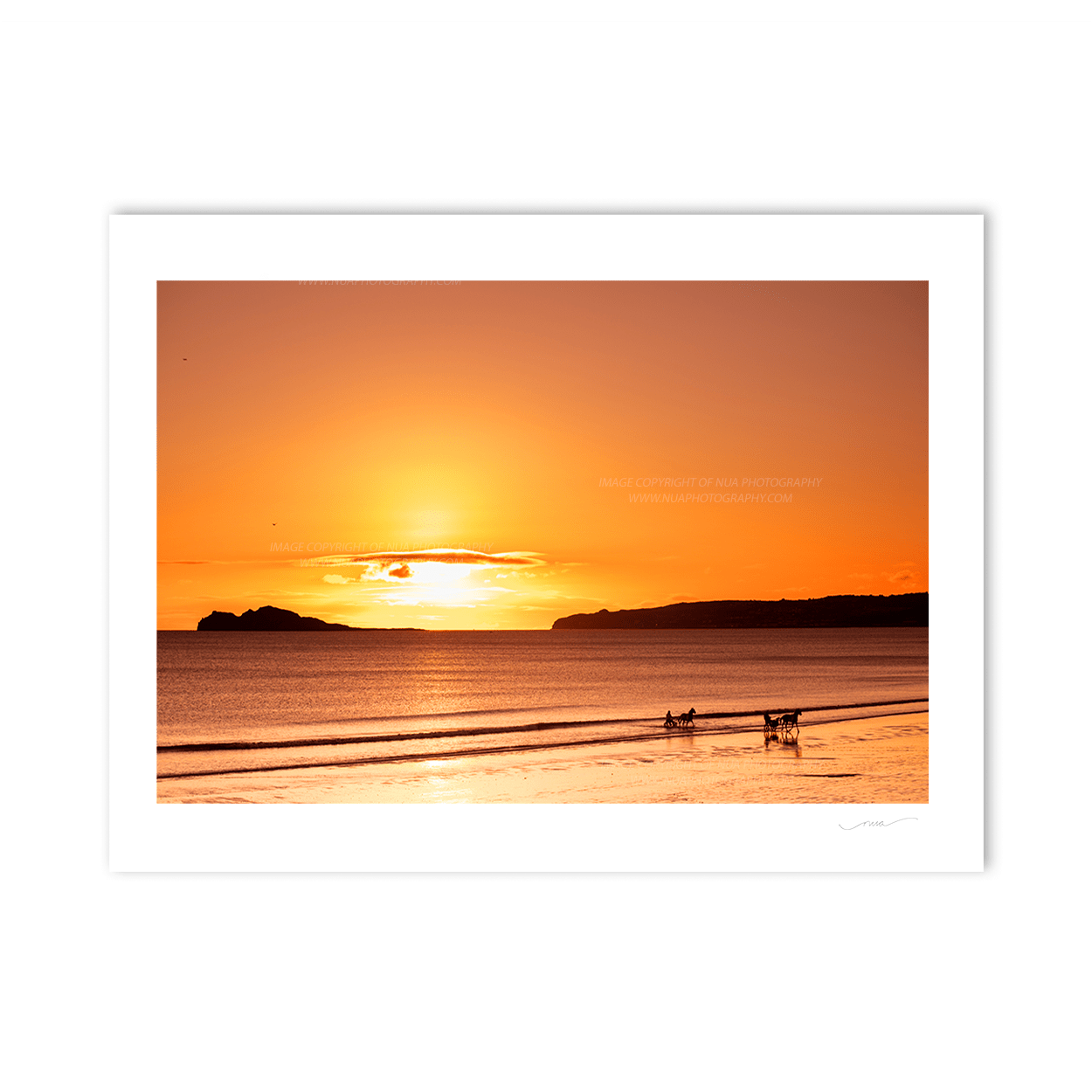 Nua Photography Print Sulkies and horses at sunrise Portmarnock
